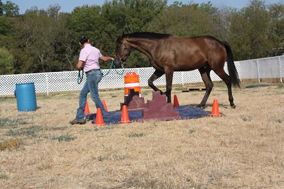 tarp training